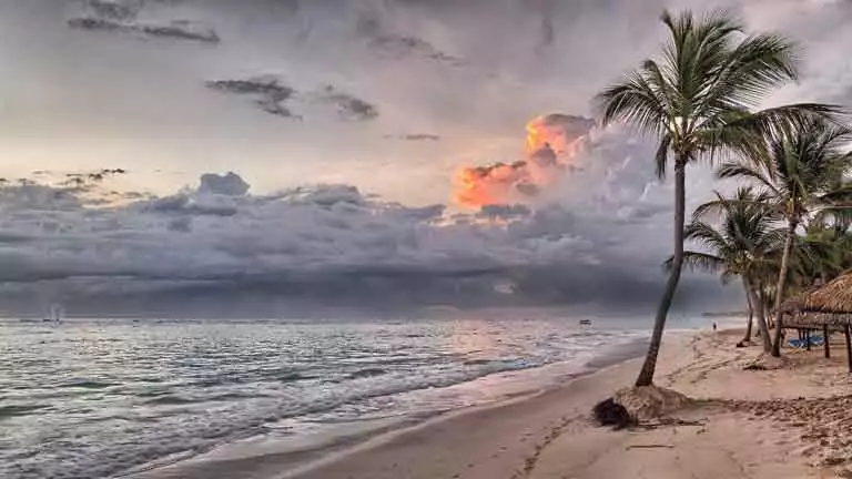 beach with a palm tree at sunset with a cloudy sky