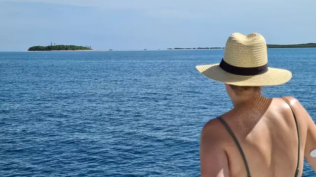 Person admiring the ocean