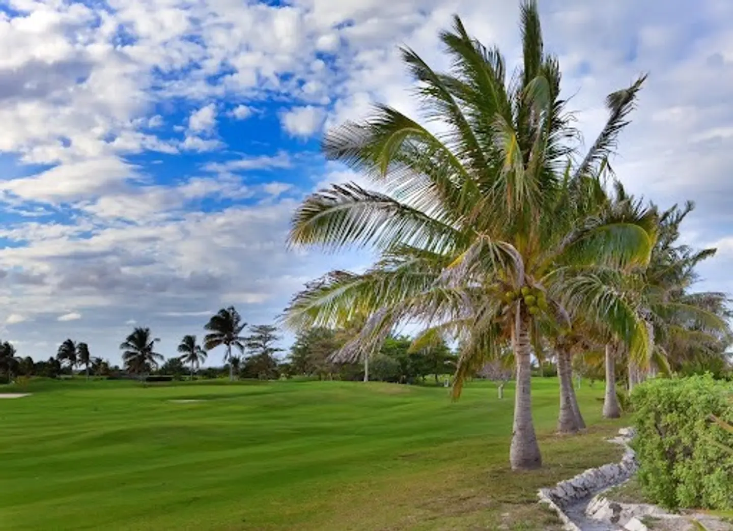 An Exotic Golf Course in Cancun