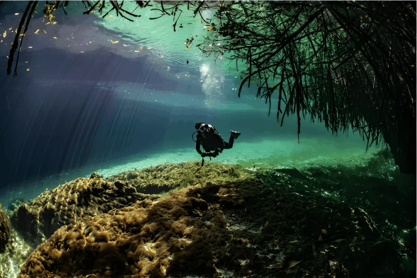What is life like in Cozumel - cave diving.